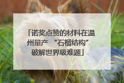诺奖点赞的材料在温州量产 “石榴结构”破解世界级难题