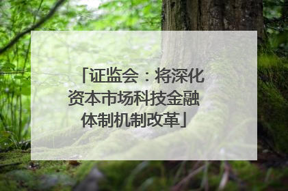证监会：将深化资本市场科技金融体制机制改革