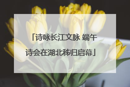 诗咏长江文脉 端午诗会在湖北秭归启幕