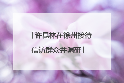 许昆林在徐州接待信访群众并调研