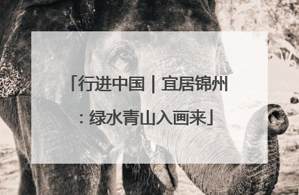 行进中国｜宜居锦州：绿水青山入画来