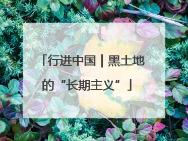 行进中国｜黑土地的“长期主义”