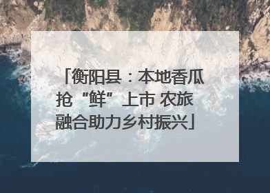 衡阳县：本地香瓜抢“鲜”上市 农旅融合助力乡村振兴