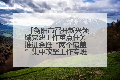衡阳市召开新兴领域党建工作重点任务推进会暨“两个覆盖”集中攻坚工作专班 第一次会议
