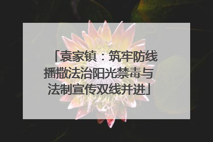 袁家镇：筑牢防线播撒法治阳光禁毒与法制宣传双线并进