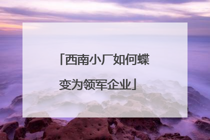 西南小厂如何蝶变为领军企业