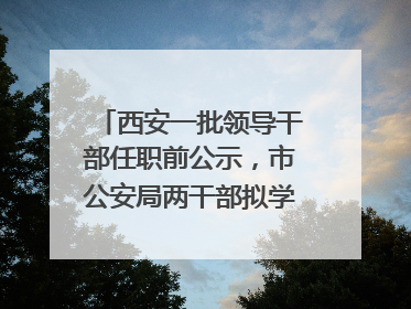 西安一批领导干部任职前公示，市公安局两干部拟学历破格提拔