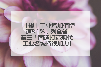 规上工业增加值增速8.1%，列全省第三！南通打造现代工业名城持续加力
