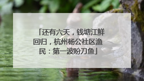 还有六天，钱塘江鲜回归，杭州杨公社区渔民：第一波盼刀鱼