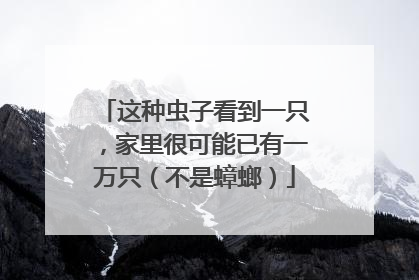 这种虫子看到一只，家里很可能已有一万只（不是蟑螂）
