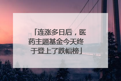 连涨多日后，医药主题基金今天终于登上了跌幅榜