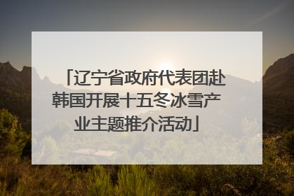 辽宁省政府代表团赴韩国开展十五冬冰雪产业主题推介活动