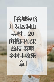 谷城经济开发区洞山寺村：20亩桃园硕果盈枝 奏响乡村丰收乐章