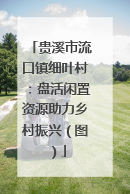 贵溪市流口镇细叶村：盘活闲置资源助力乡村振兴（图）