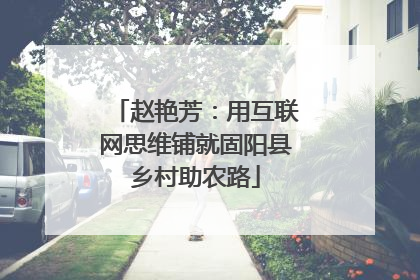 赵艳芳：用互联网思维铺就固阳县乡村助农路