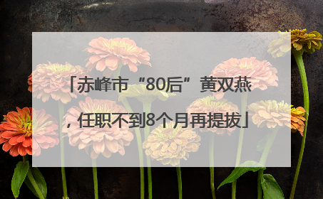 赤峰市“80后”黄双燕，任职不到8个月再提拔