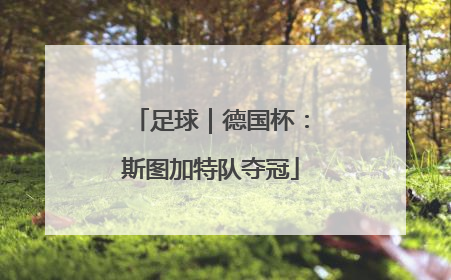 足球｜德国杯：斯图加特队夺冠
