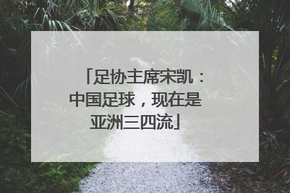 足协主席宋凯：中国足球，现在是亚洲三四流