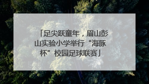 足尖跃童年，眉山彭山实验小学举行“海豚杯”校园足球联赛