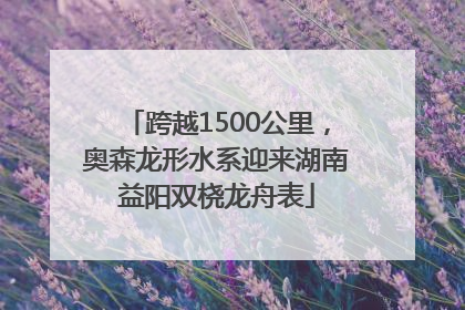 跨越1500公里，奥森龙形水系迎来湖南益阳双桡龙舟表