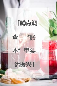 蹲点调查｜“账本”里头话振兴