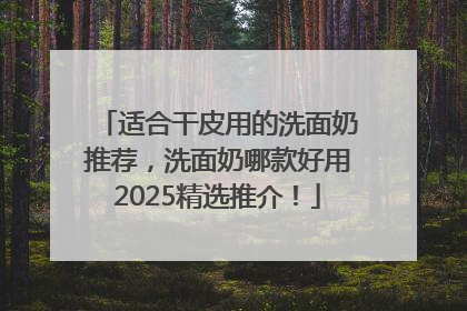 适合干皮用的洗面奶推荐，洗面奶哪款好用2025精选推介！