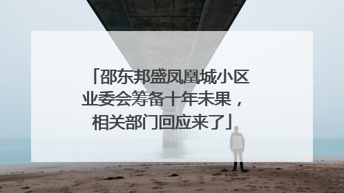 邵东邦盛凤凰城小区业委会筹备十年未果，相关部门回应来了