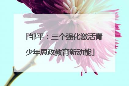邹平：三个强化激活青少年思政教育新动能