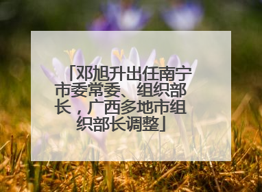 邓旭升出任南宁市委常委、组织部长，广西多地市组织部长调整