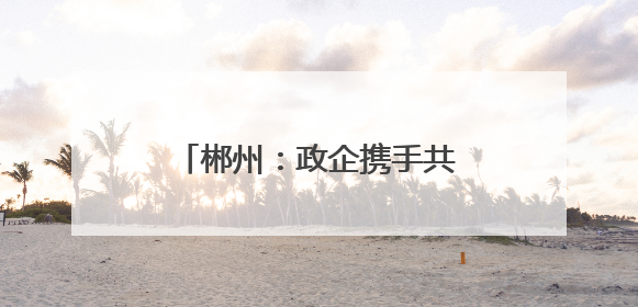 郴州：政企携手共绘乡村振兴新图景