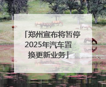 郑州宣布将暂停2025年汽车置换更新业务