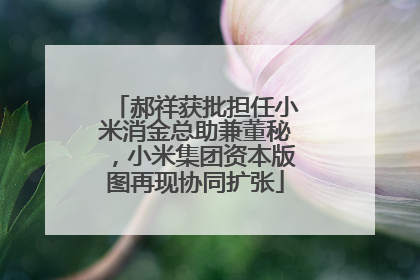 郝祥获批担任小米消金总助兼董秘，小米集团资本版图再现协同扩张