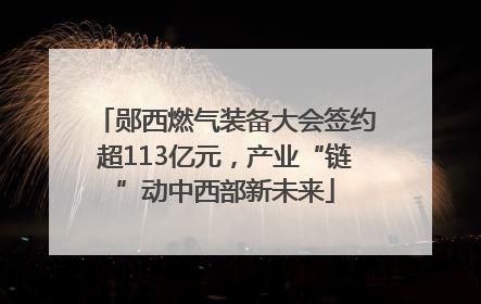 郧西燃气装备大会签约超113亿元，产业“链”动中西部新未来