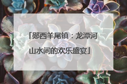 郧西羊尾镇：龙潭河山水间的欢乐盛宴