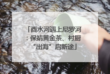 酉水河遇上尼罗河：保靖黄金茶、村厨“出海”启新途