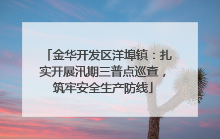 金华开发区洋埠镇：扎实开展汛期三普点巡查，筑牢安全生产防线