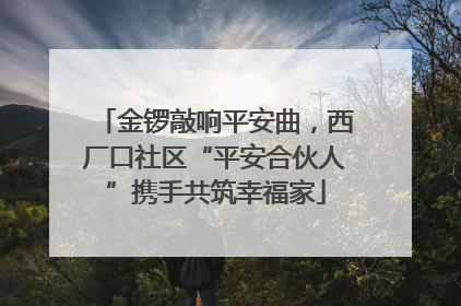 金锣敲响平安曲，西厂口社区“平安合伙人”携手共筑幸福家