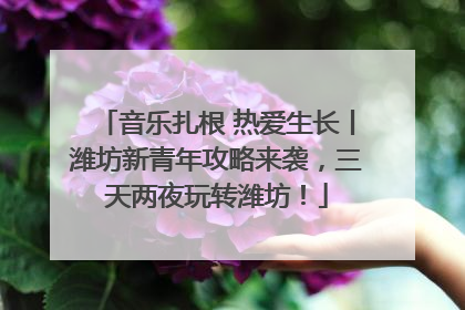 音乐扎根 热爱生长丨潍坊新青年攻略来袭，三天两夜玩转潍坊！