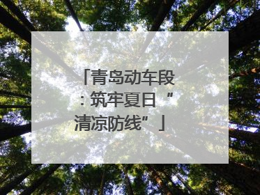 青岛动车段：筑牢夏日“清凉防线”