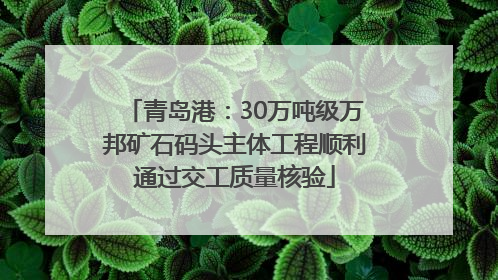 青岛港：30万吨级万邦矿石码头主体工程顺利通过交工质量核验