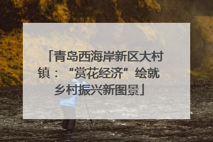 青岛西海岸新区大村镇：“赏花经济”绘就乡村振兴新图景