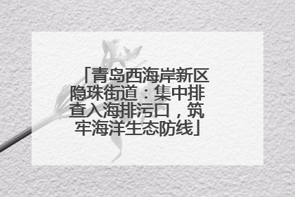 青岛西海岸新区隐珠街道：集中排查入海排污口，筑牢海洋生态防线
