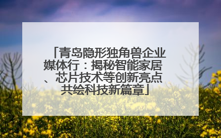 青岛隐形独角兽企业媒体行：揭秘智能家居、芯片技术等创新亮点 共绘科技新篇章