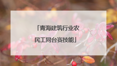青海建筑行业农民工同台赛技能