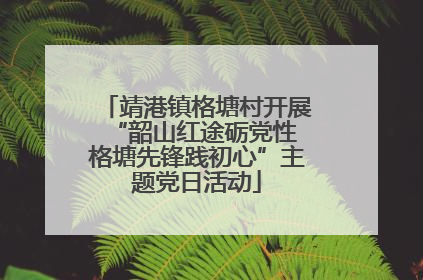 靖港镇格塘村开展“韶山红途砺党性 格塘先锋践初心”主题党日活动