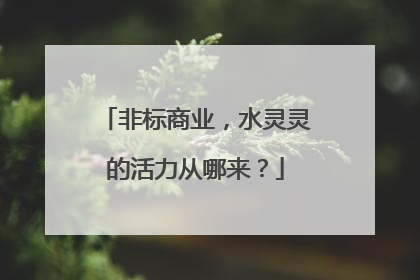 非标商业，水灵灵的活力从哪来？