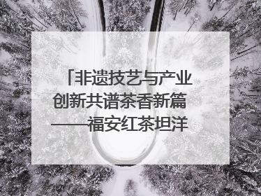 非遗技艺与产业创新共谱茶香新篇——福安红茶坦洋工夫专场推介会在京举办