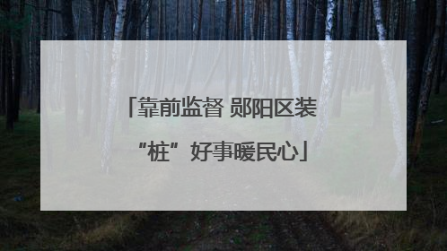 靠前监督 郧阳区装“桩”好事暖民心