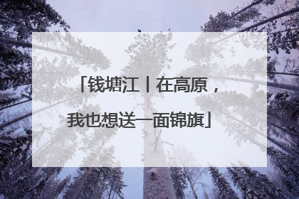 钱塘江丨在高原，我也想送一面锦旗