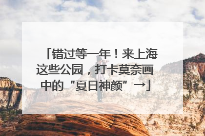 错过等一年！来上海这些公园，打卡莫奈画中的“夏日神颜”→